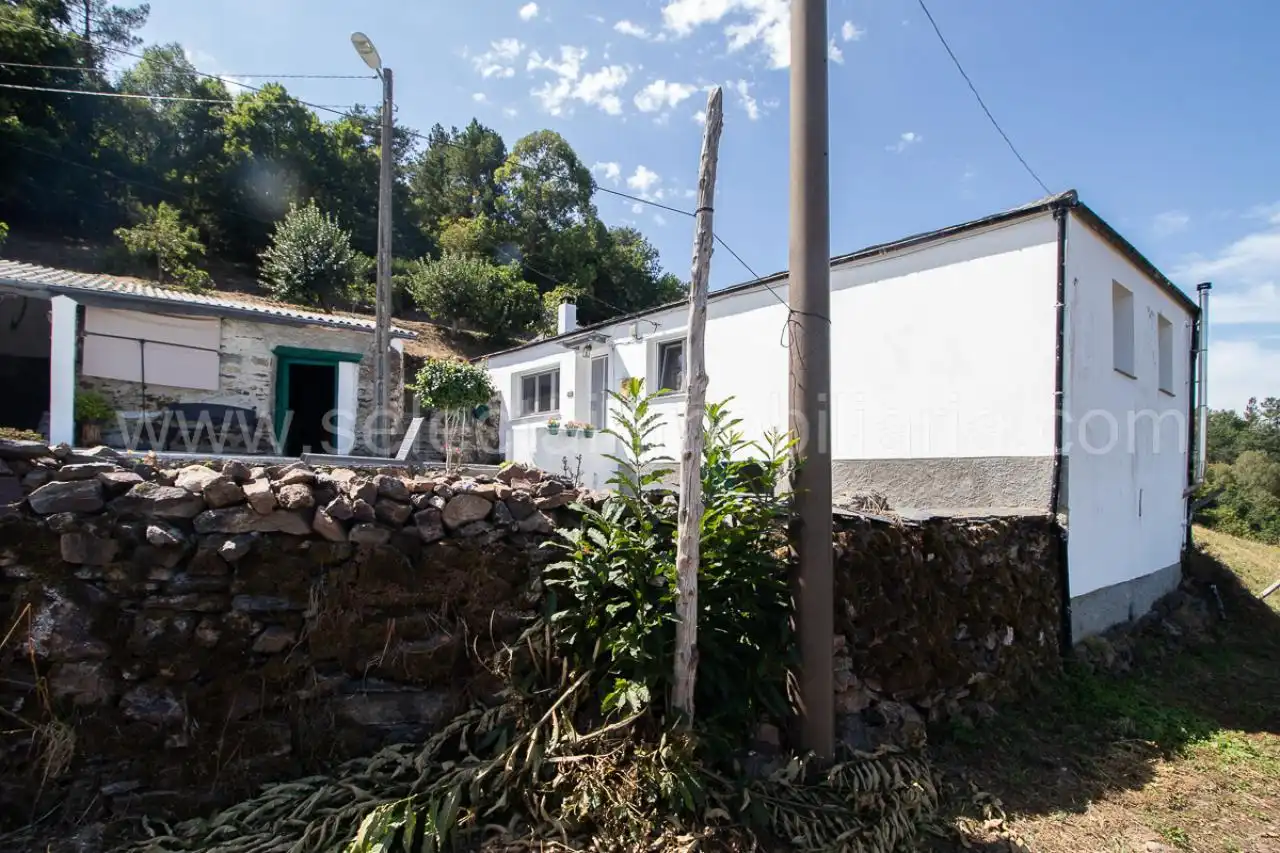 Vista exterior de Casa o xalet en venda en San Martín de Oscos amb Calefacció, Jardí privat i Terrassa