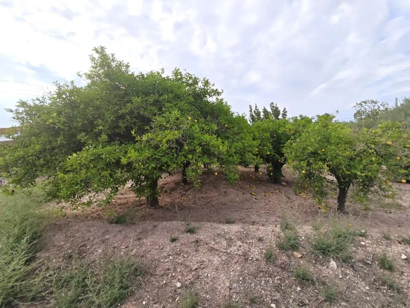 Terreno residencial en venta en Totana, imagen 10