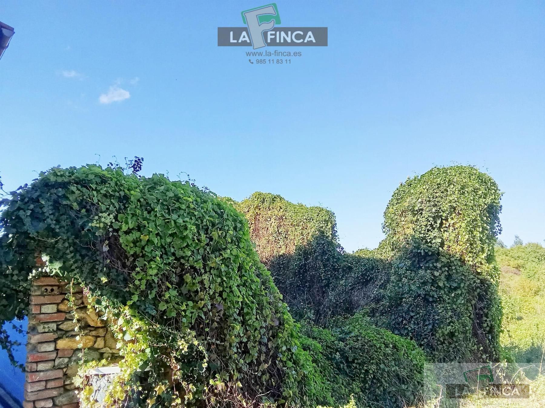 Country house for sale in Pravia