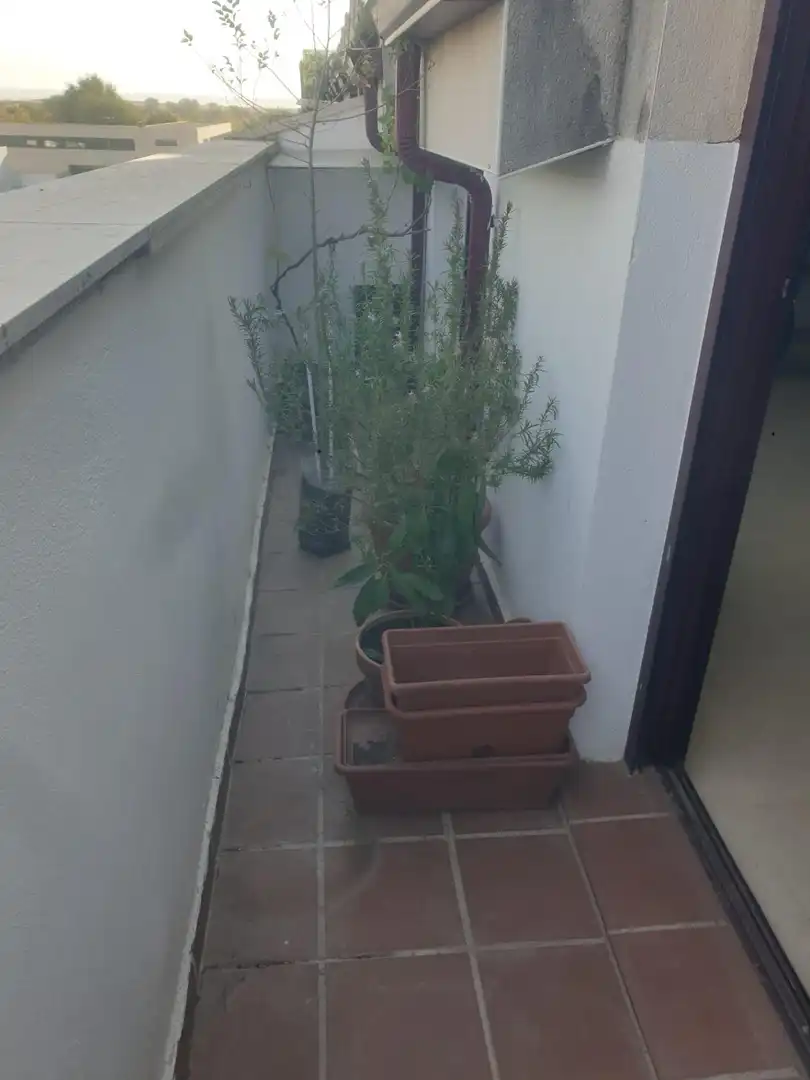Jardín de Piso en venta en Yuncler con Terraza y Amueblado