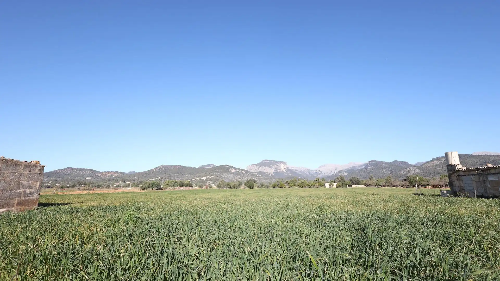 Terreno rustico in vendita a Binissalem