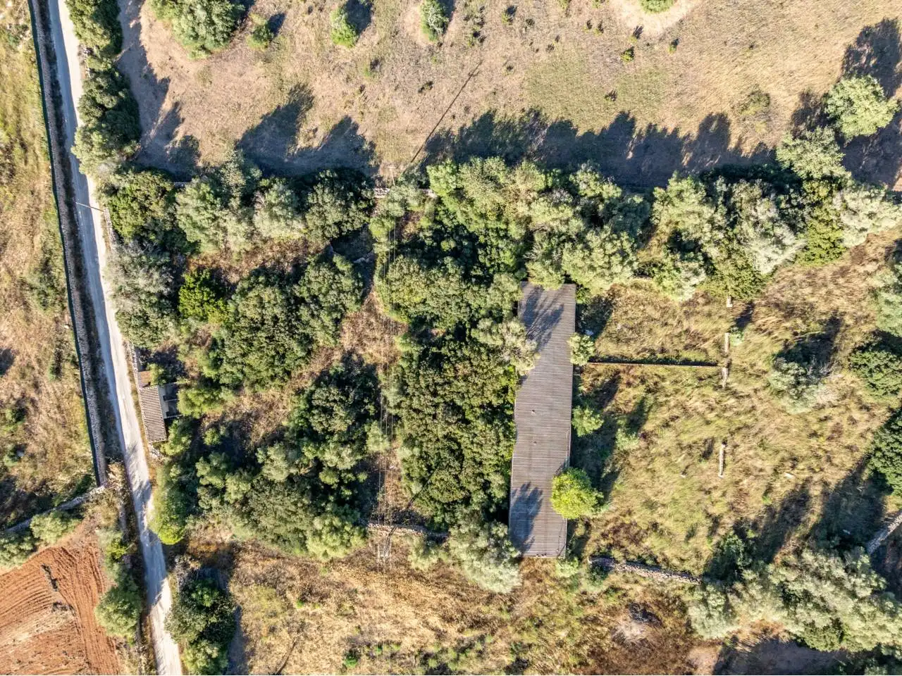 Terreno rustico in vendita a Llucmajor pueblo, imagen 89