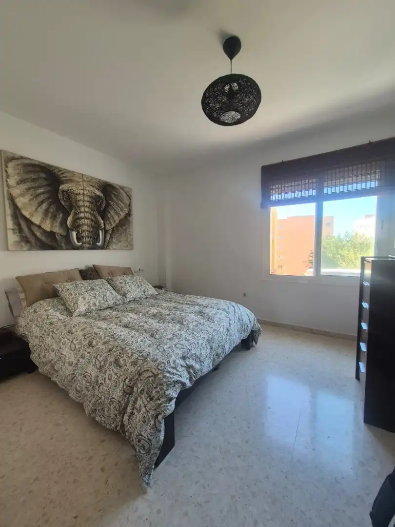 Flat with lift for sale in Casines, imagen 5