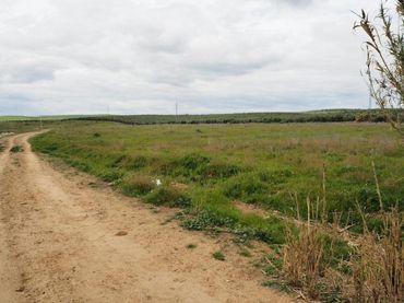 Rustikales Grundstück zum Verkauf in Guillena pueblo
