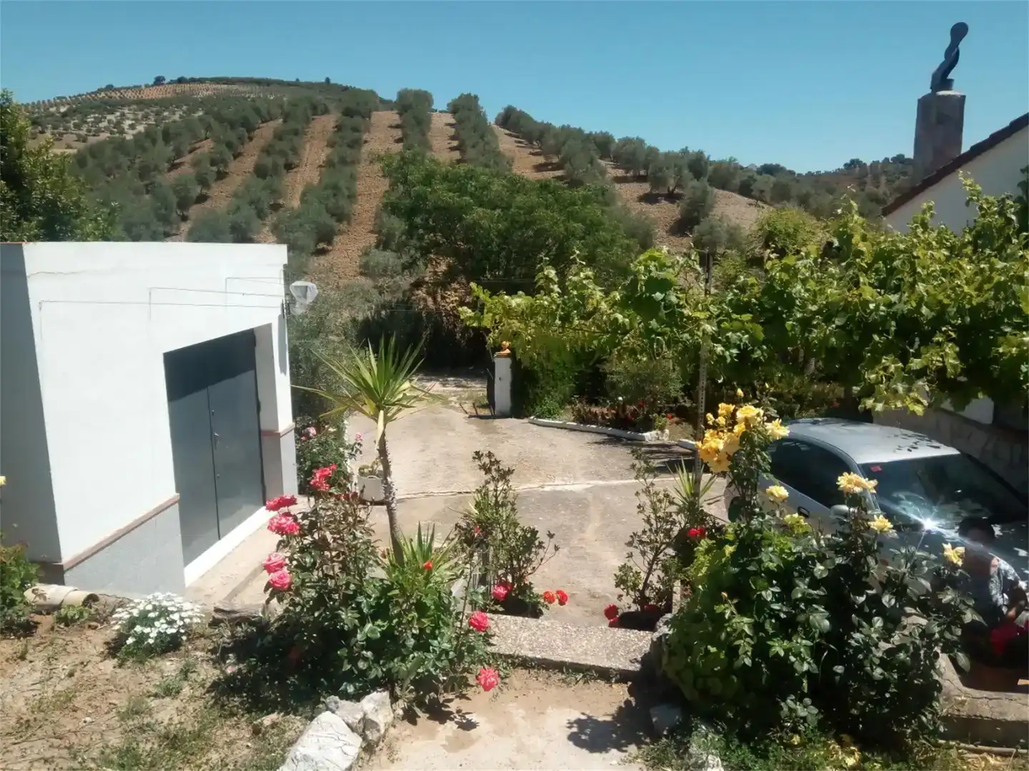Jardín de Terreno en venta en Montellano