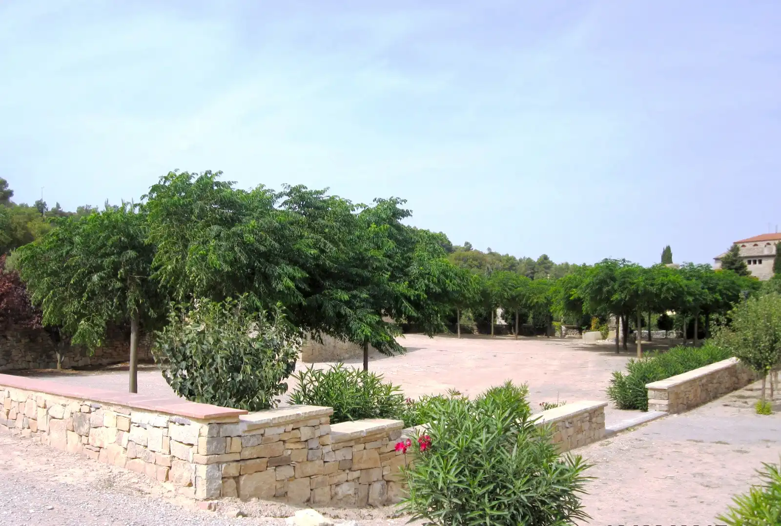 Terreno rústico en venta en Vallbona de Les Monges, imagen 23