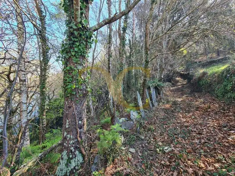 Casa o xalet en venda en Villayón amb Jardí privat