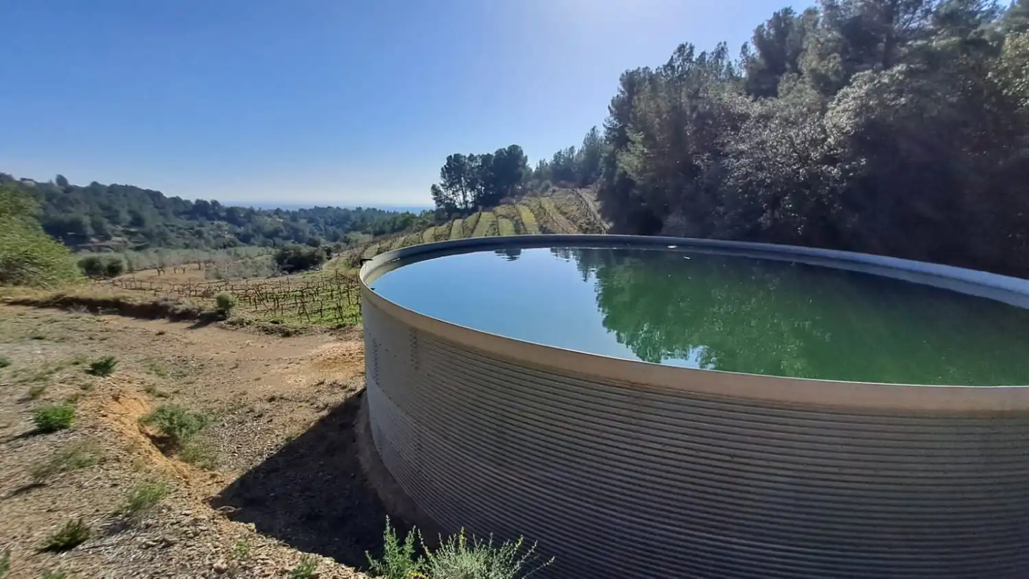 Piscina de Finca rústica en venda en Castellvell del Camp