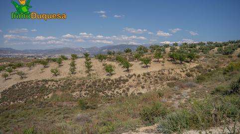 Photo 5 of Country house for sale in Urbanizaciones, Alhendín