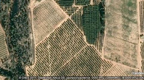 Foto 2 de Garaje en venta en El Pinar de Campoverde, Pilar de la Horadada