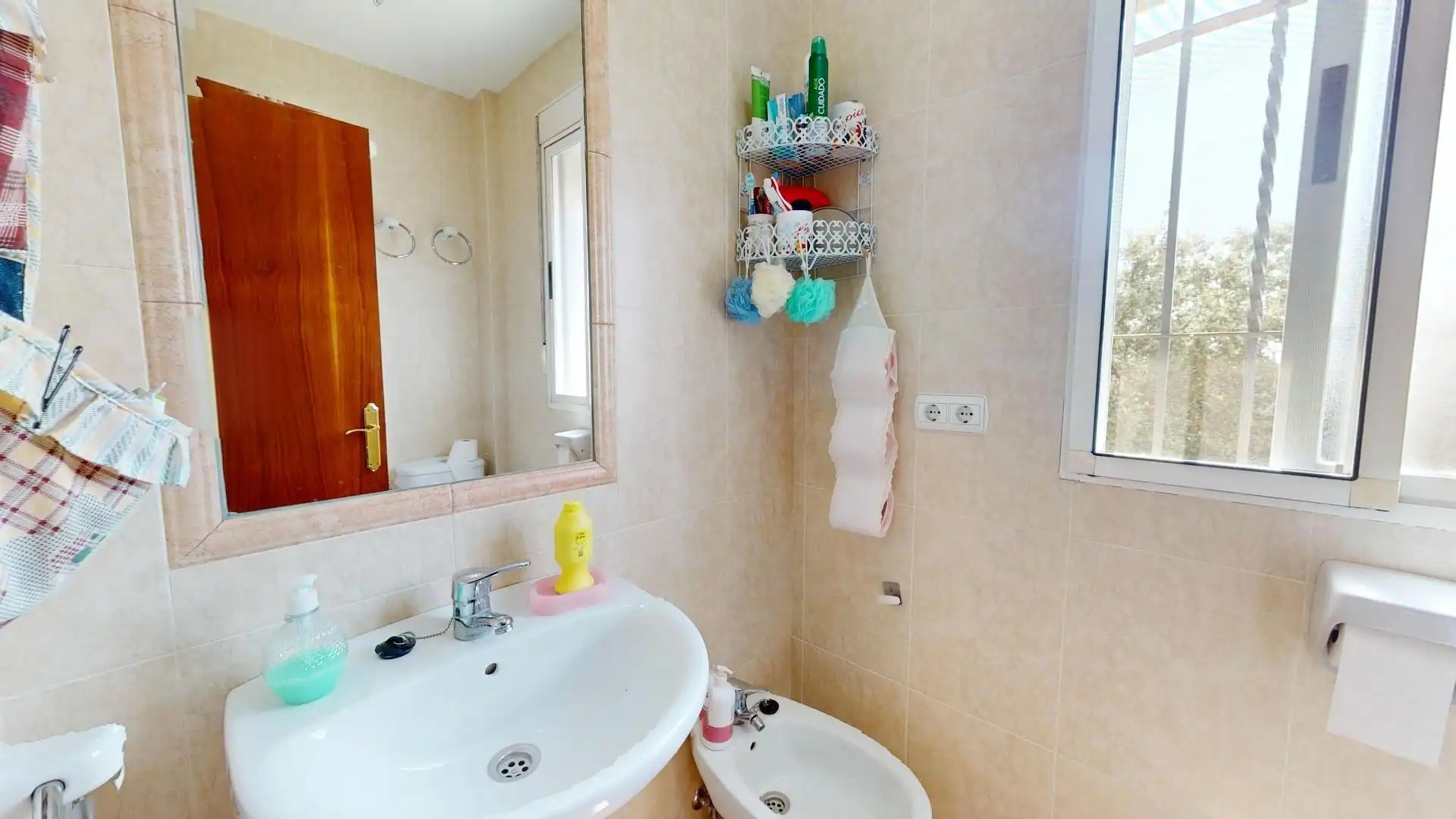 Bathroom of Houses for sale in Montoro  with Private garden and Terrace