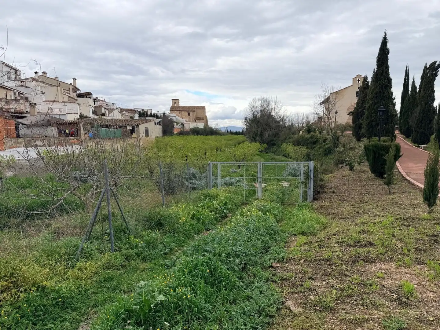 Terreno rustico in vendita a Albaida, imagen 2