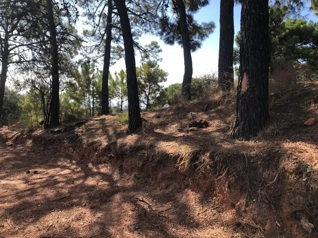 Terrain rustique à vendre à Loma pontezuela, imagen 8