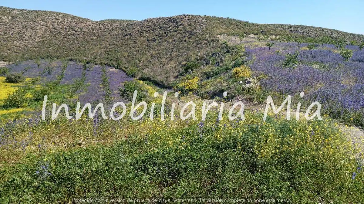 Casa o chalet en venta en Zarzalico
