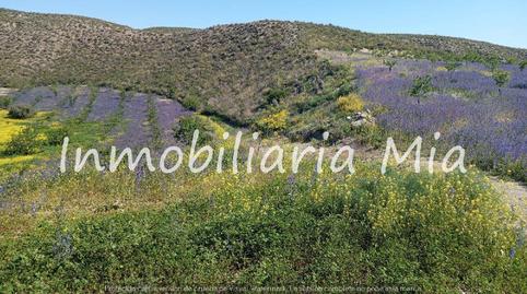 Foto 5 de Casa o chalet en venta en Zarzalico, Murcia