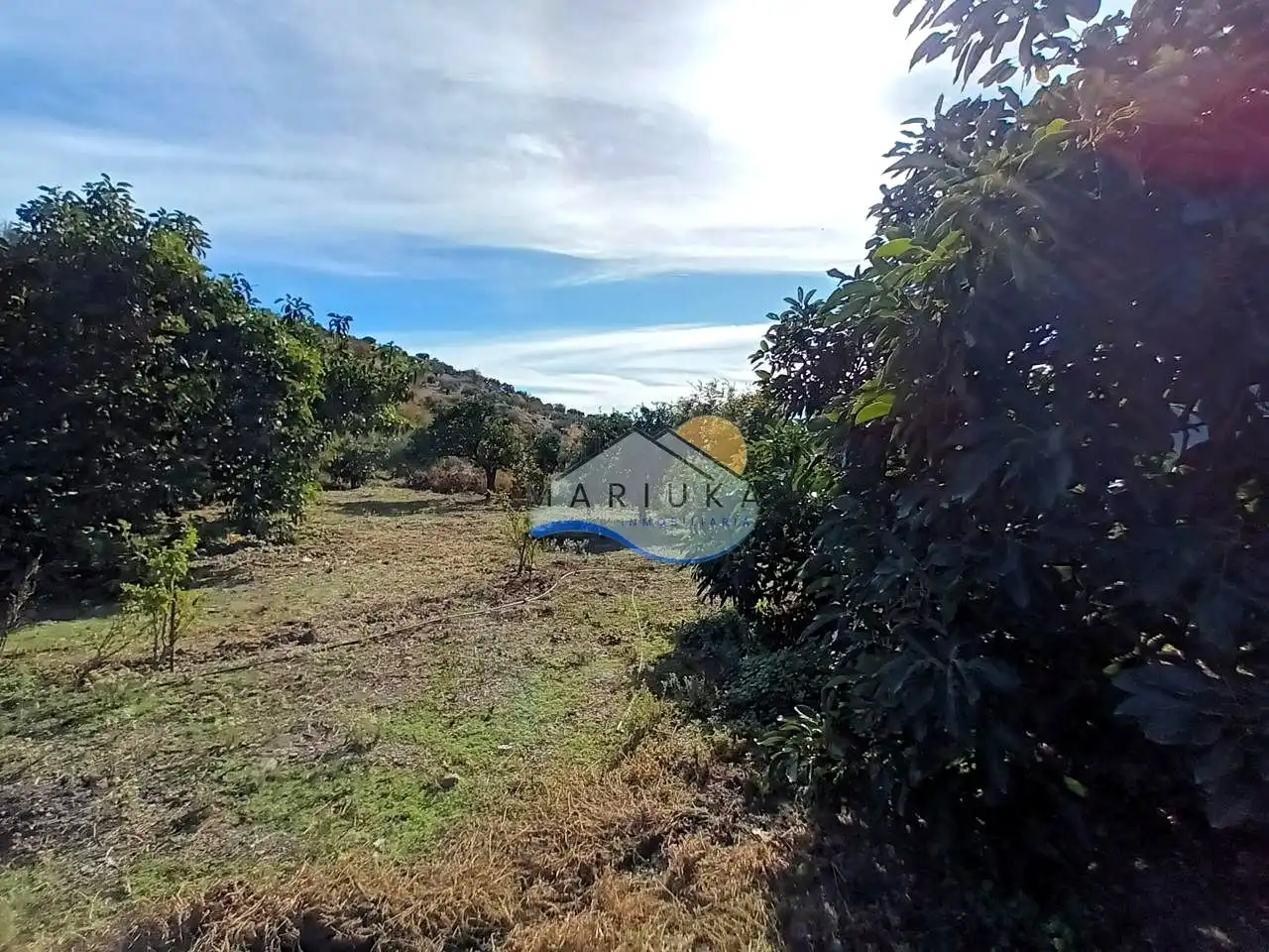 Country house for sale in Camino de las Herrerías, imagen 27