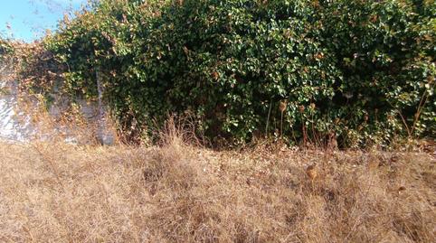 Photo 2 of Residential for sale in Casco Antiguo, Mairena del Aljarafe