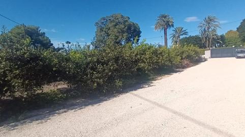 Photo 4 of House or chalet to rent in Valverde, Alicante