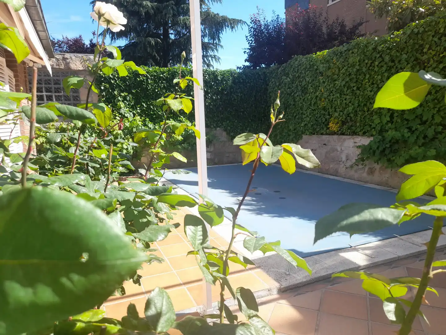 Piscina de Casa adosada en venta en Pozuelo de Alarcón con Aire acondicionado, Calefacción y Jardín privado