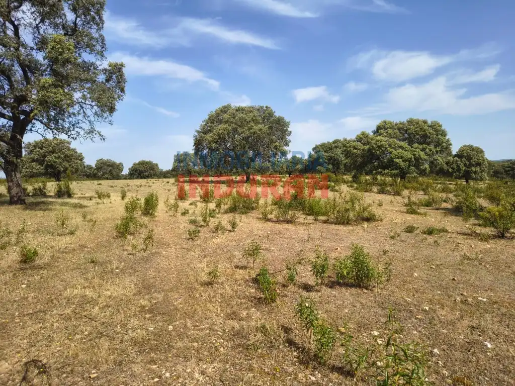 Finca rústica en venda en Talaván