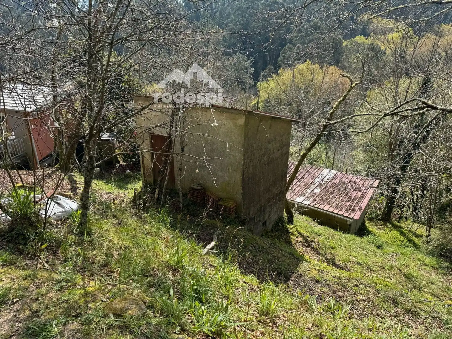 Rural land for sale in Arbo