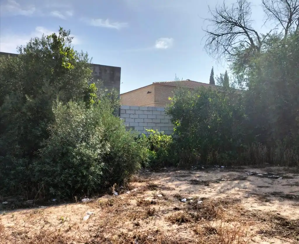 Terreni e lotti in vendita a Carretera de Palomares, imagen 16