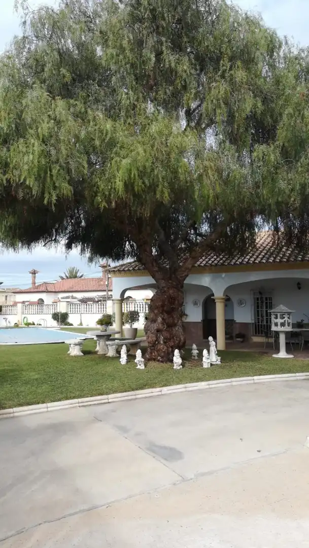 Jardí de Casa o xalet en venda en Arcos de la Frontera amb Aire condicionat, Jardí privat i Traster