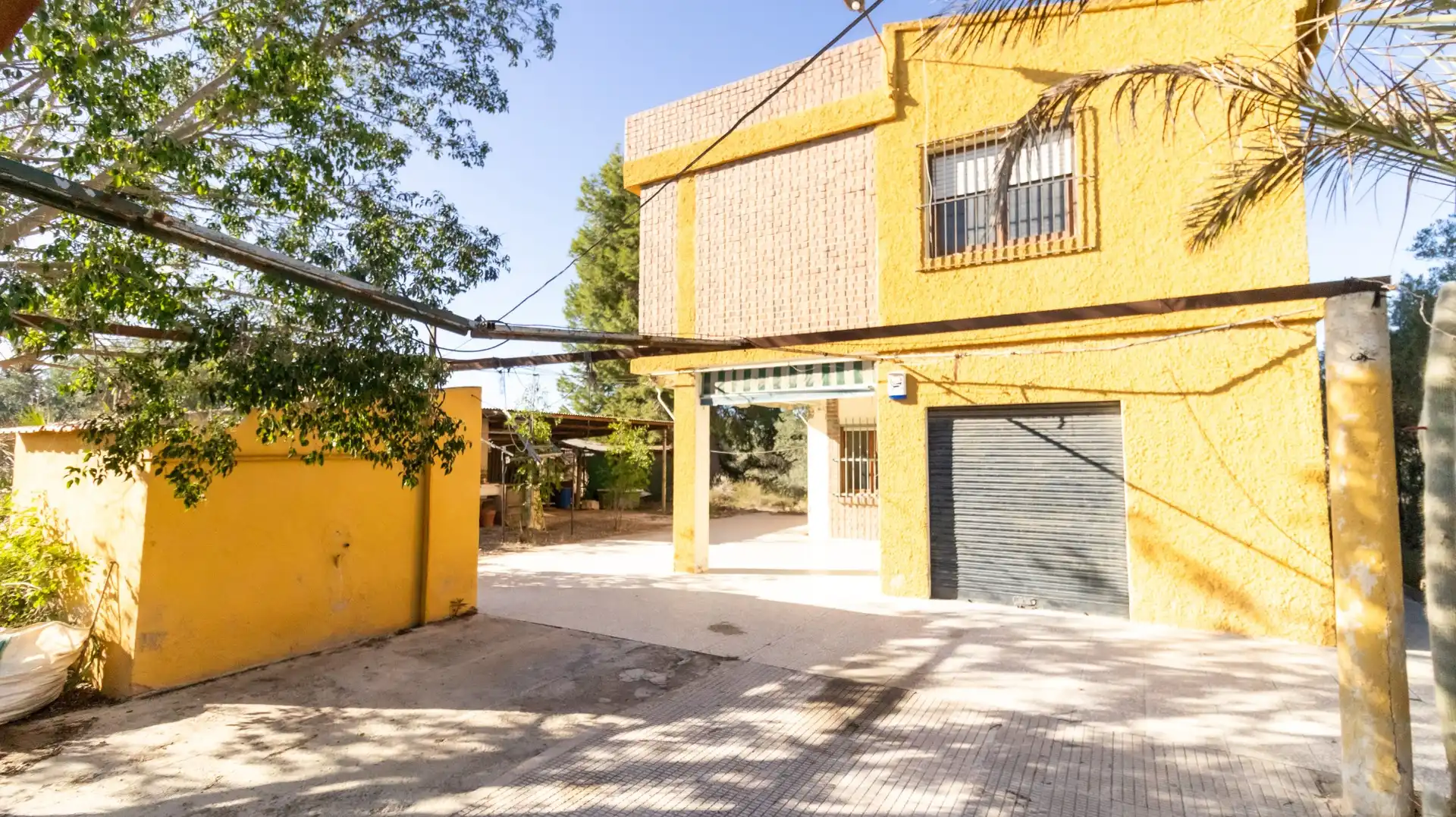 Vista exterior de Casa o chalet en venta en Elche / Elx con Trastero y Piscina
