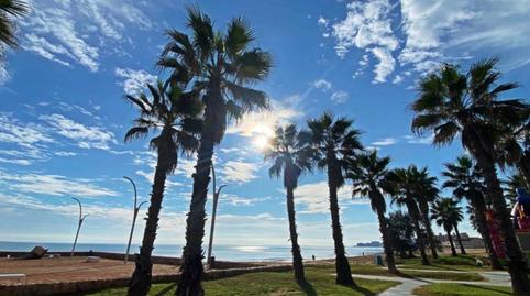 Photo 3 of Flat for sale in Los Europeos, Torrevieja