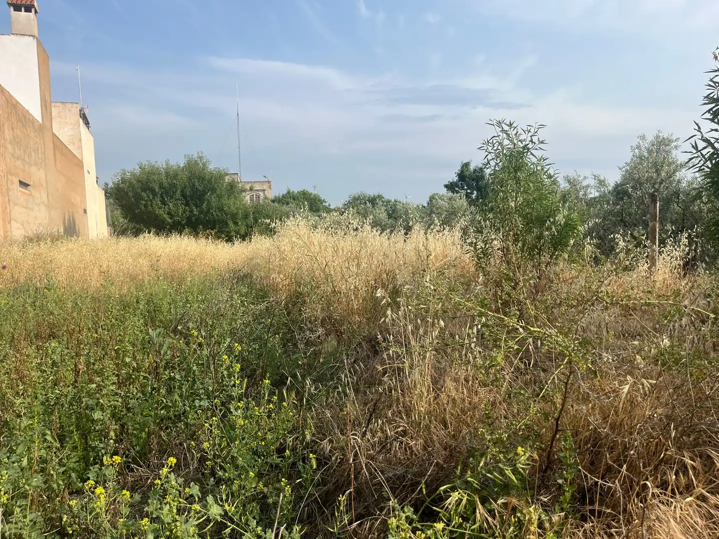 Rural land for sale in Calle Verano, imagen 6
