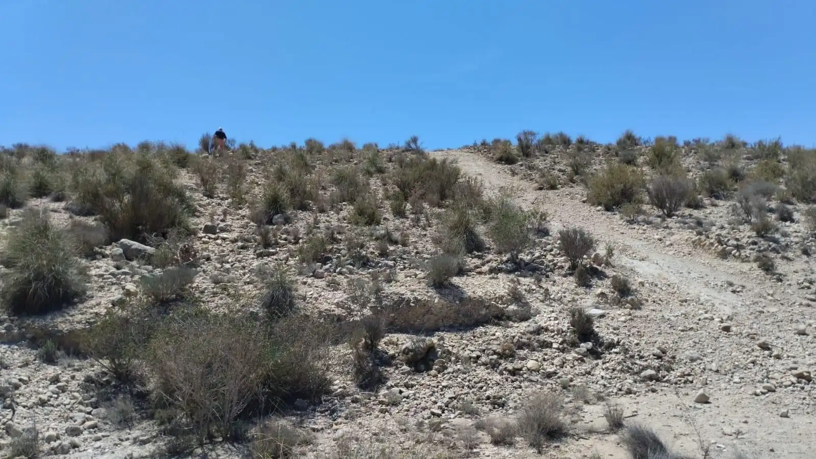 Grundstücke zum Verkauf in Molina de Segura