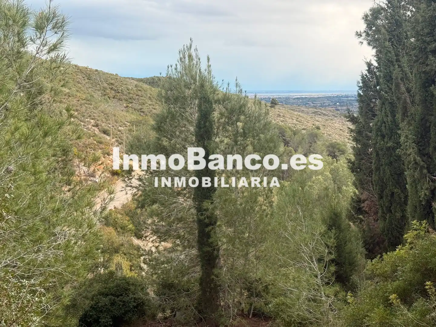 Residential land for sale in Calle Félix Pizcueta 67, imagen 27