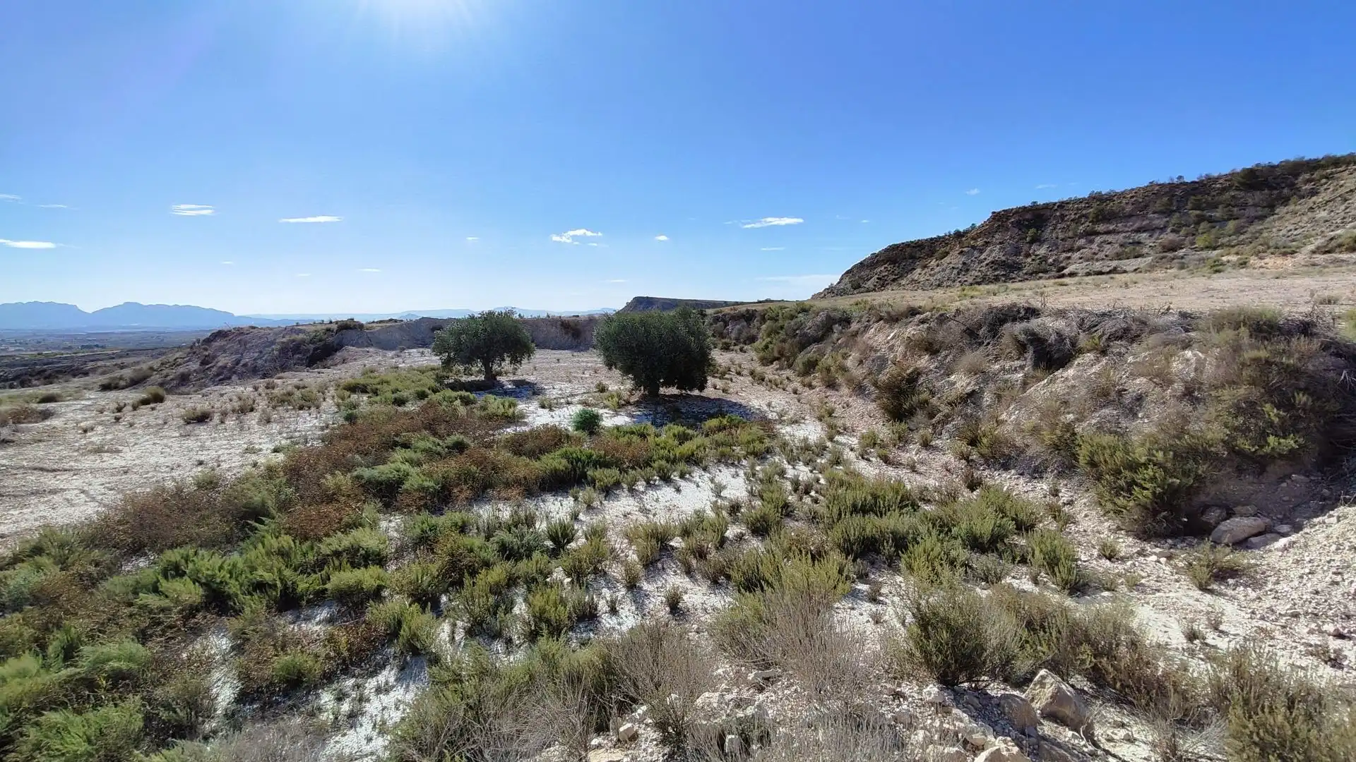 Rural land for sale in Fortuna, imagen 21