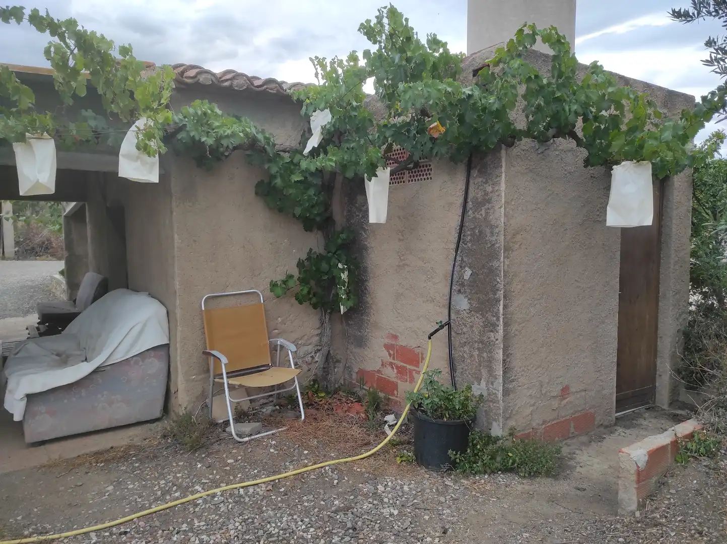 Garden of Land for sale in Castellvell del Camp