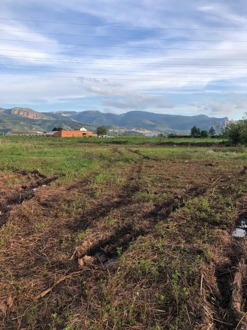 Terreni e lotti in vendita a Albelda de Iregua, imagen 7