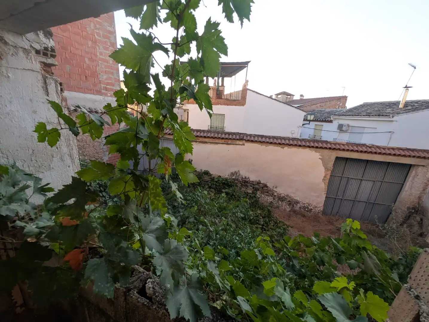 House with garden for sale in Alcaudete, imagen 3