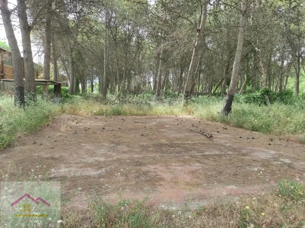 Casa rústica amb terrassa en venda a Partida Plans S/N, imagen 43