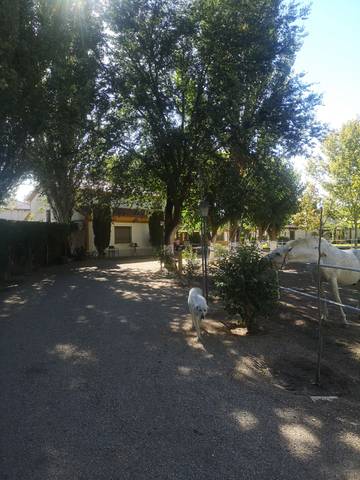 Casa-chalet en Venta en La Montaña - El Cortijo