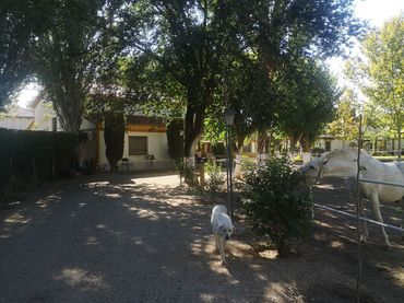 Casa en venda a La Montaña - El Cortijo
