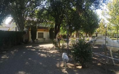 Casa o xalet en venda a Aranjuez