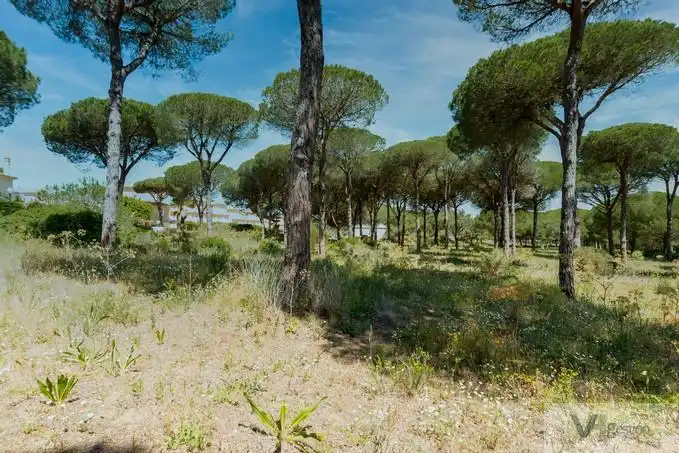 Terrenys i solars en venda a Novo Sancti Petri, imagen 8