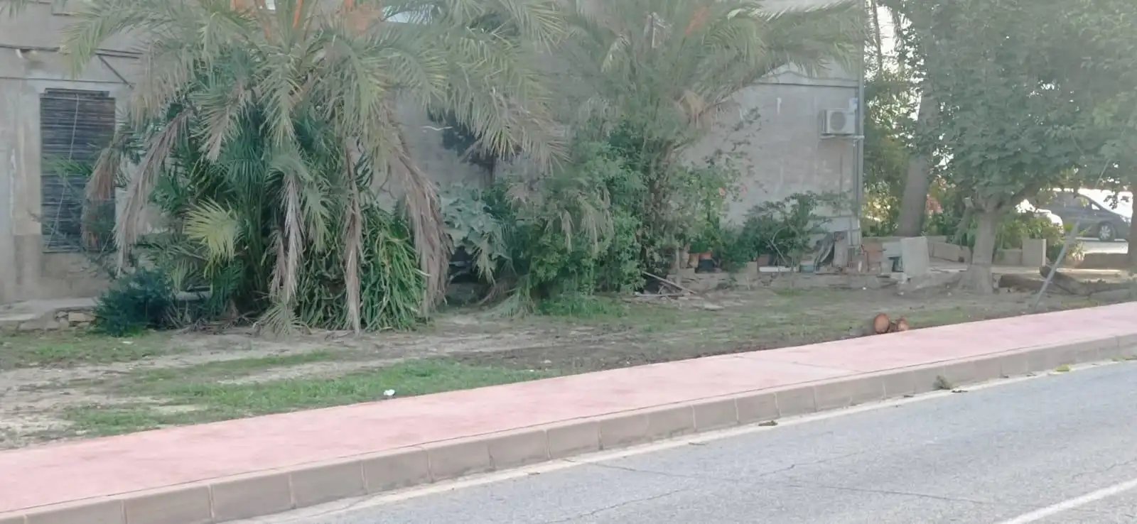 Terreny residencial en venda a Pedanías Este, imagen 15
