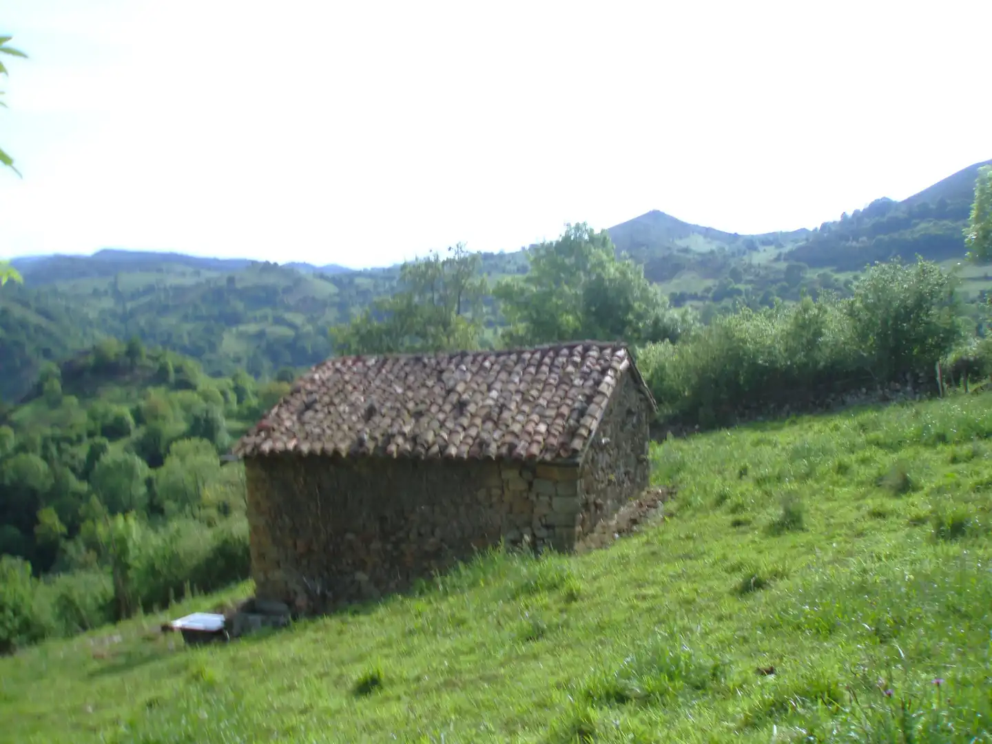 Terreny rústic en venda a Grado, imagen 13