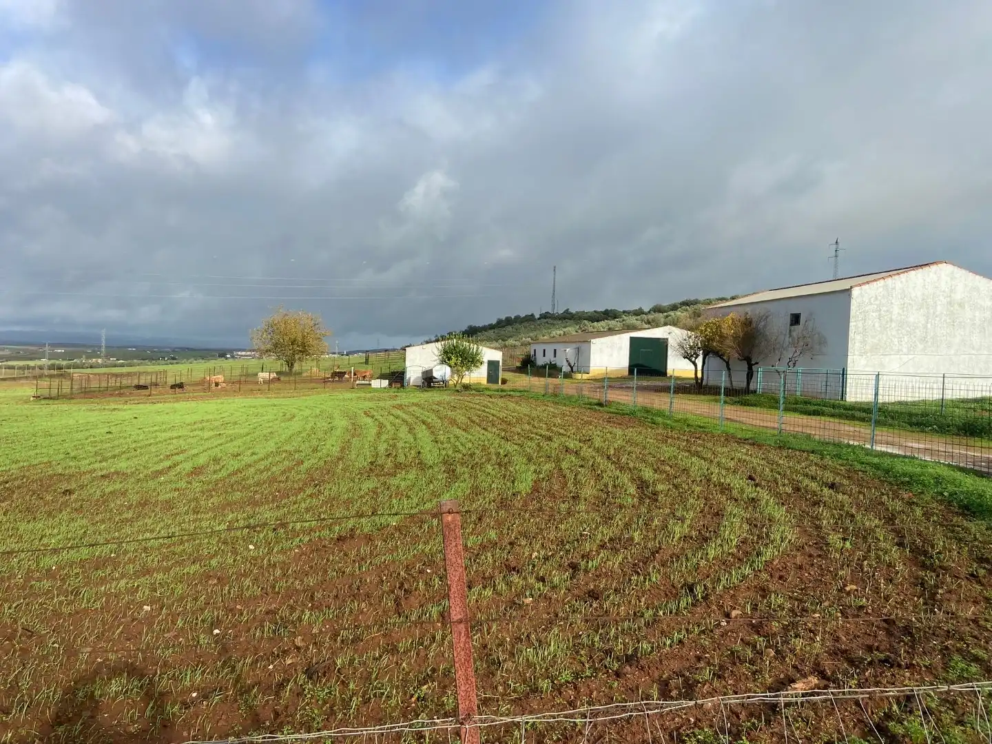 Grundstücke zum Verkauf in Olivenza