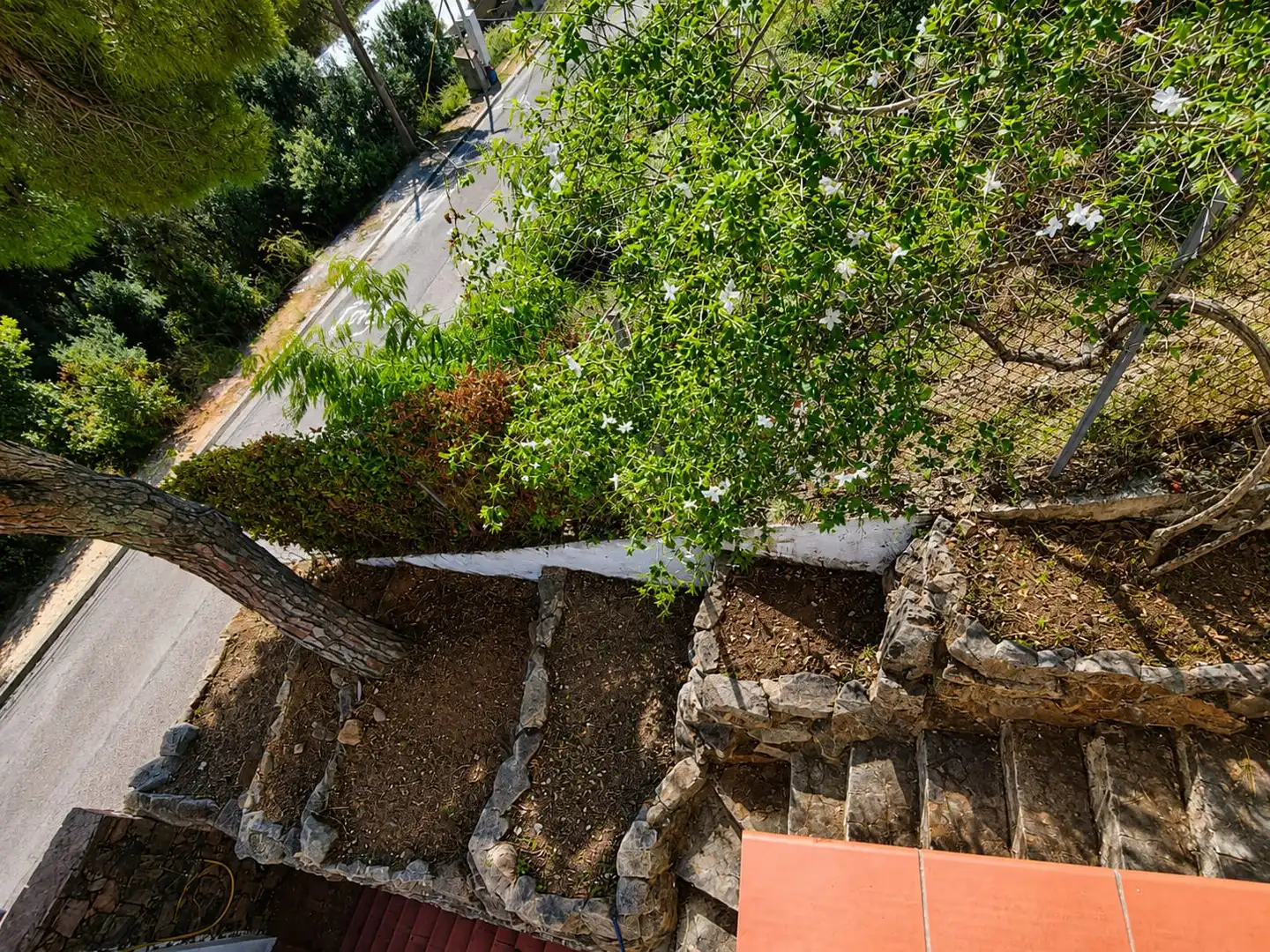 Jardí de Casa o xalet en venda en Tossa de Mar amb Calefacció, Jardí privat i Terrassa