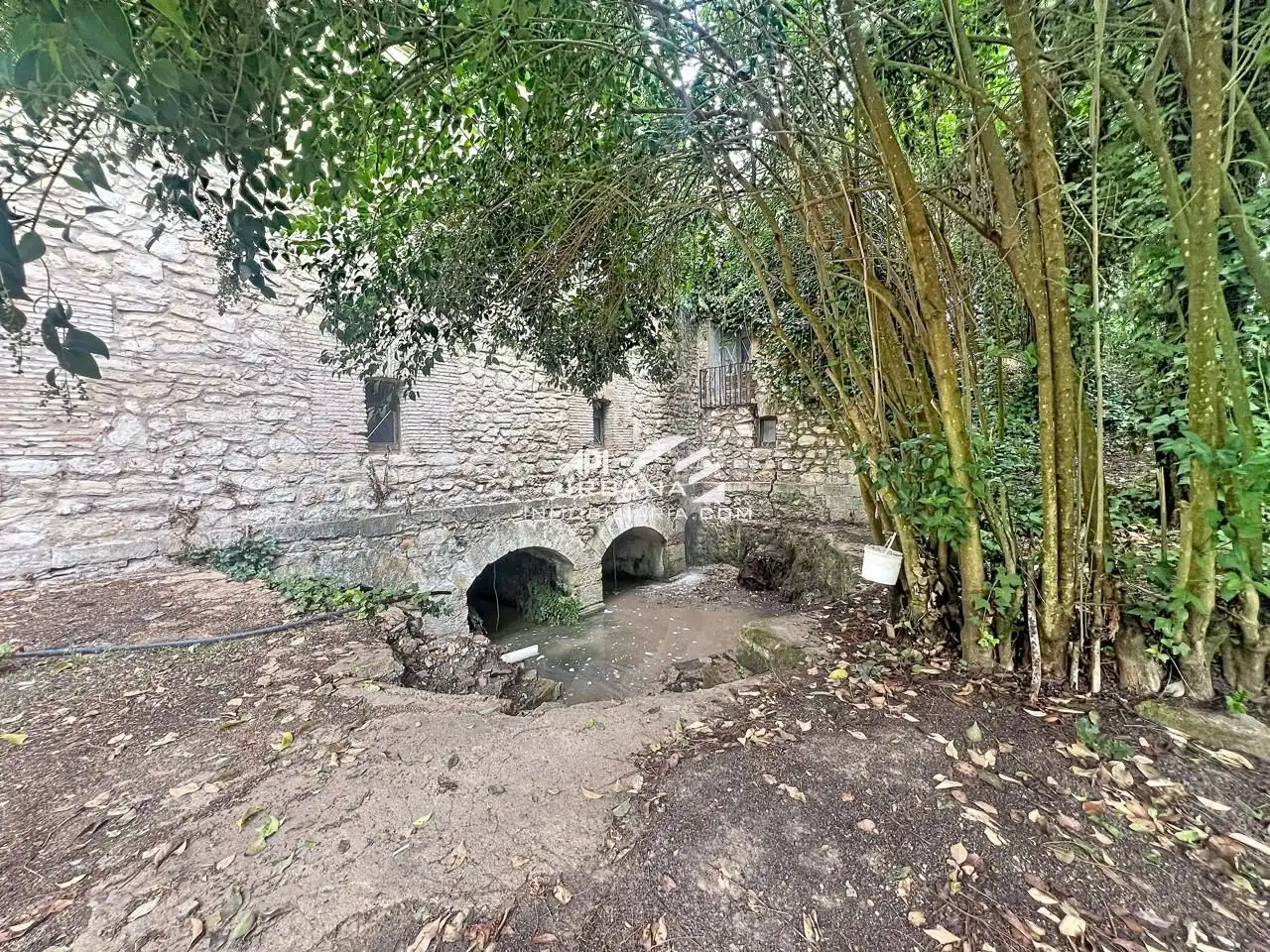 Jardín de Casa o chalet en venta en Rute, Córdoba