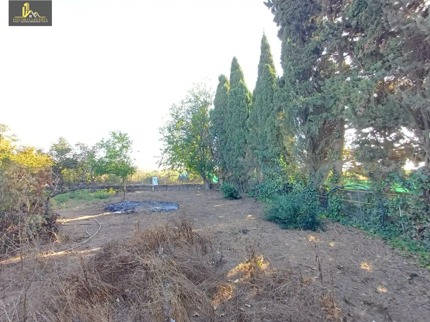 Finca rústica en venta en Jerez de la Frontera