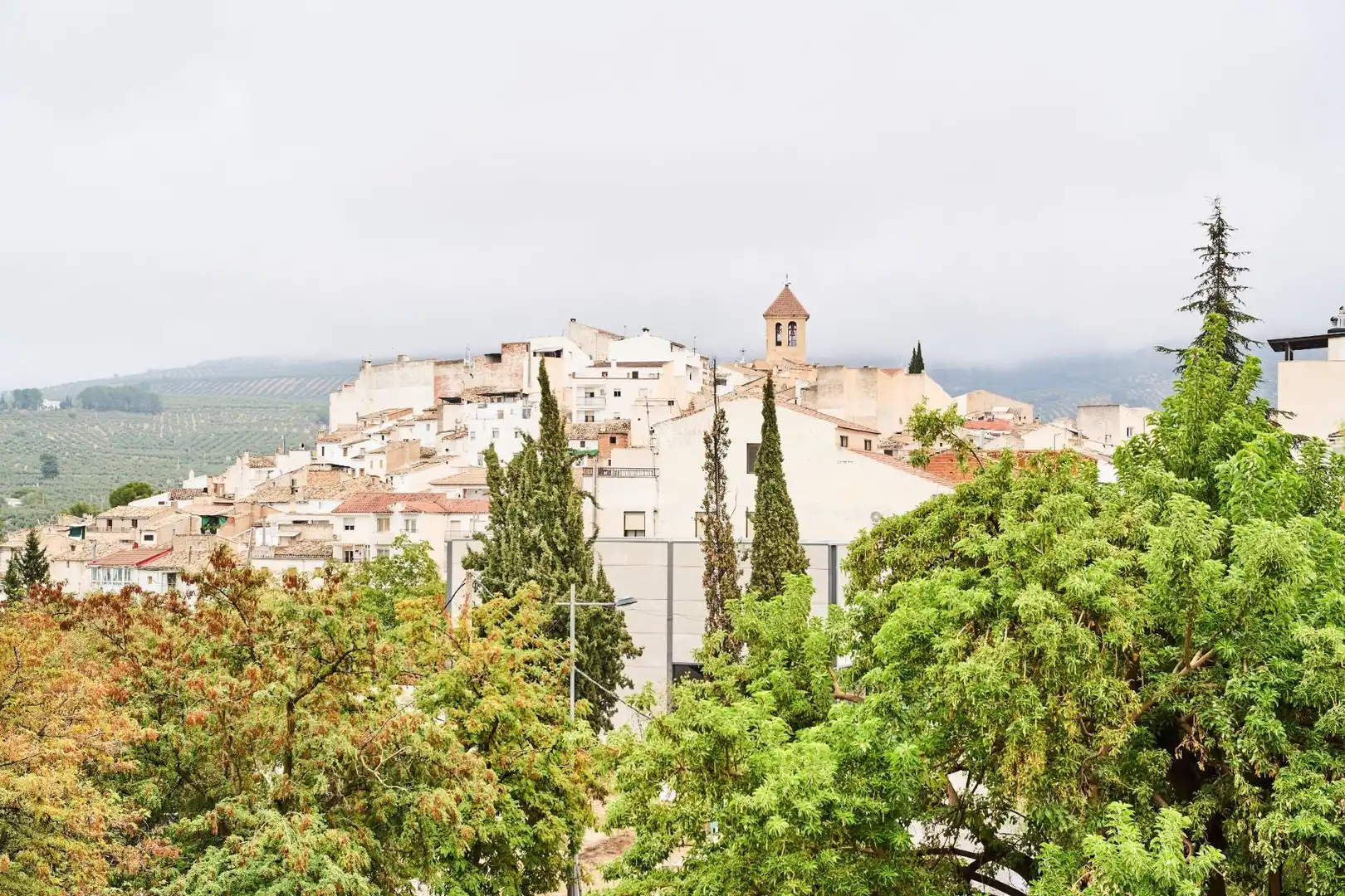 Exterior view of Buildings for sale in Quesada