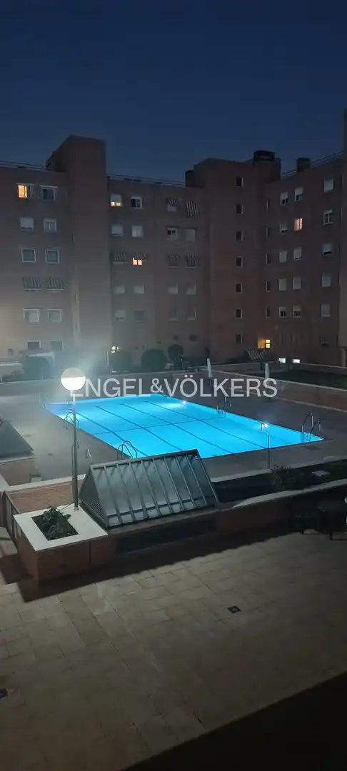 Swimming pool of Flat for rent in Madrid  with Heating and Pets allowed