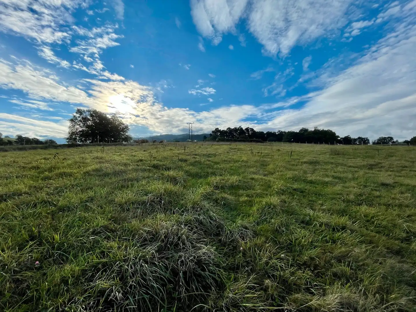Terreni e lotti in vendita a Diseminado Rural Barreiatua, imagen 7